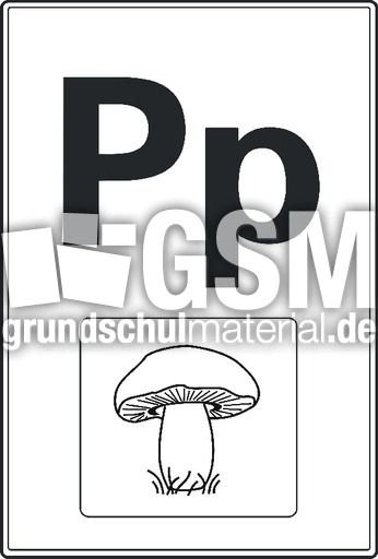 P Druck sw.pdf